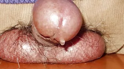 Kratkovidan radi pušenje, oslanjajući se nosom na kurac. seksi besplatni filmovi