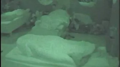 Odustao domaći besplatni porno filmovi sam u autu i bazenu.
